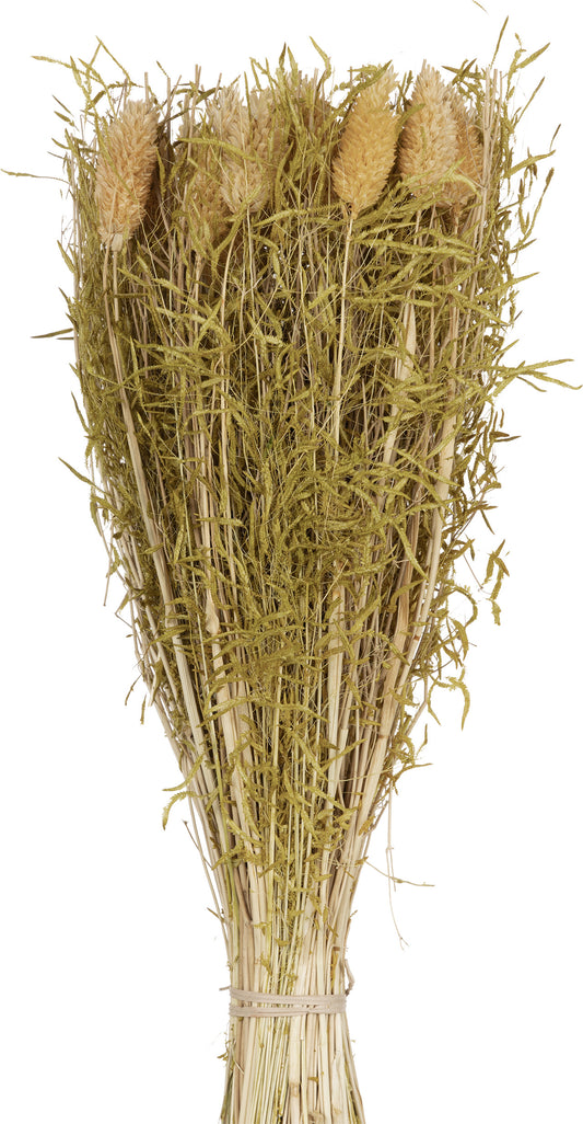 EGLO Trockenblumen CARAQUET 428159 gelb