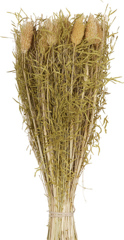 EGLO Trockenblumen CARAQUET 428159 gelb