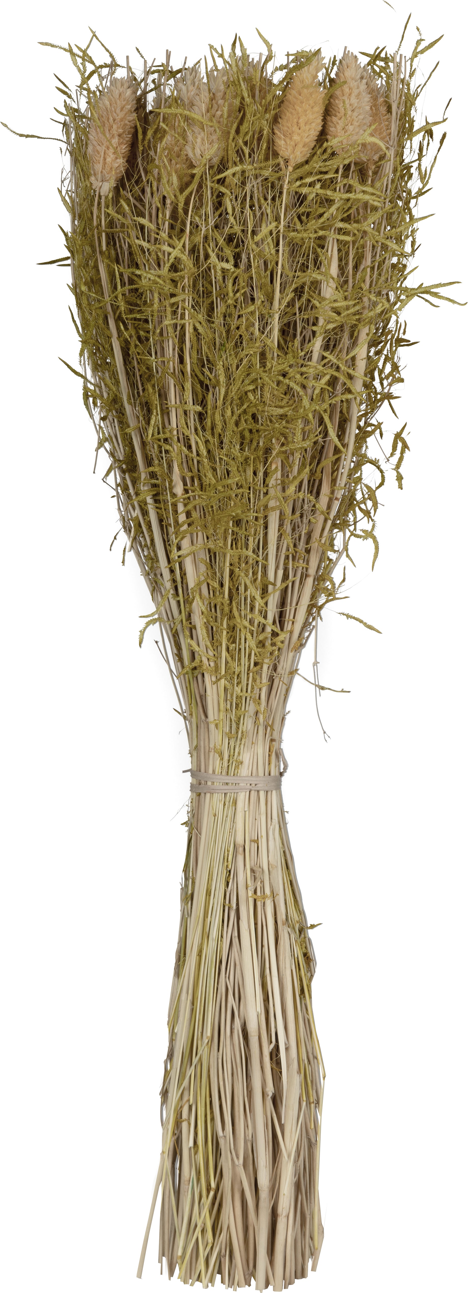 EGLO Trockenblumen CARAQUET 428159 gelb
