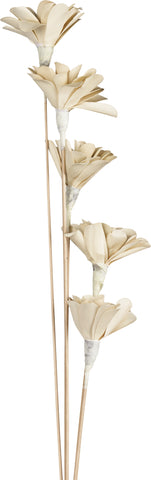 EGLO Trockenblume SENNETERRE 428167 weiss