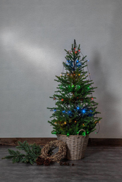 EGLO LED-RGB-LICHTERKETTE 64 48908 Batterieberieb