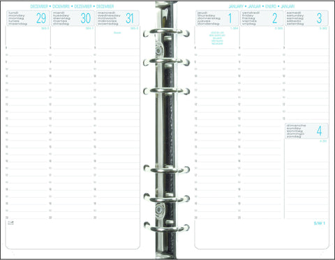 EXACOMPTA Ersatzinhalt Exatime 17 2025 18272E 1W/2S 10.5x17.2cm