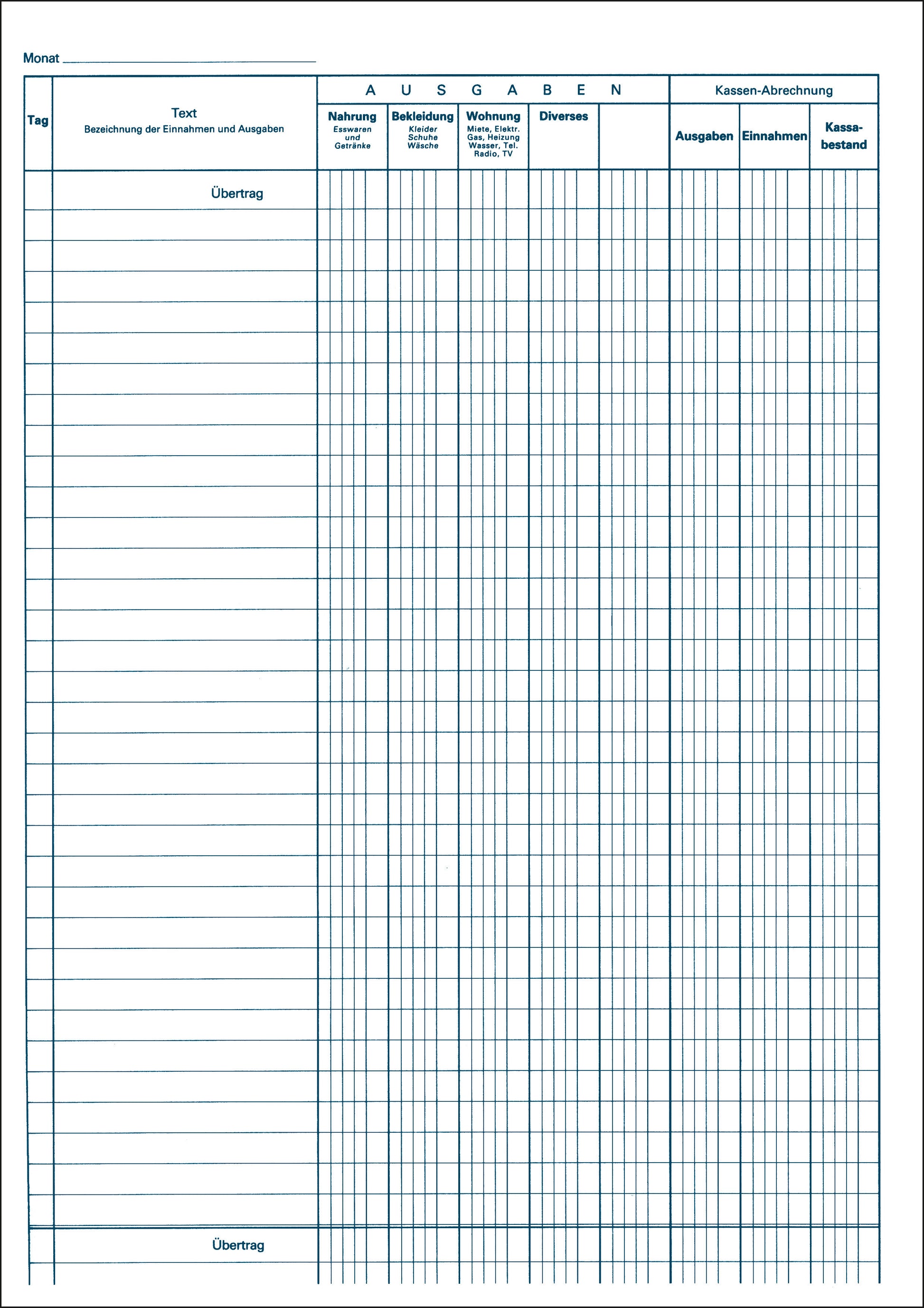 FAVORIT Haushaltbuch A4 890 24 Blatt