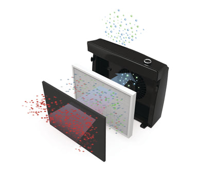 FELLOWES Kohlefilter klein 9406502 PT65