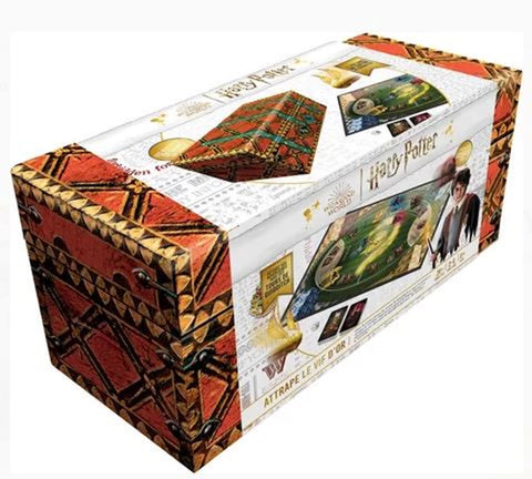 HARRY POTTER ATTRAPE LE VIF D'OR