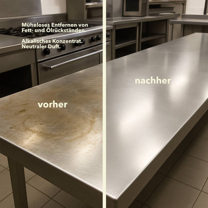 Fettlöser, 10 litri, pH 13, merce pericolosa UN1719