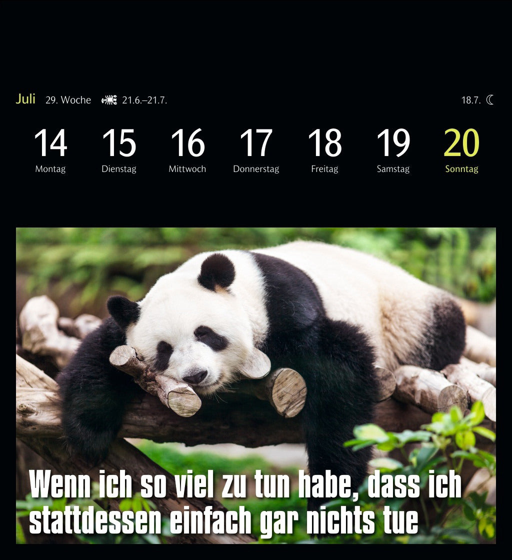 HARENBERG Postkartenkalender 2025 3310183+25 Animal Memes 16x17.5cm