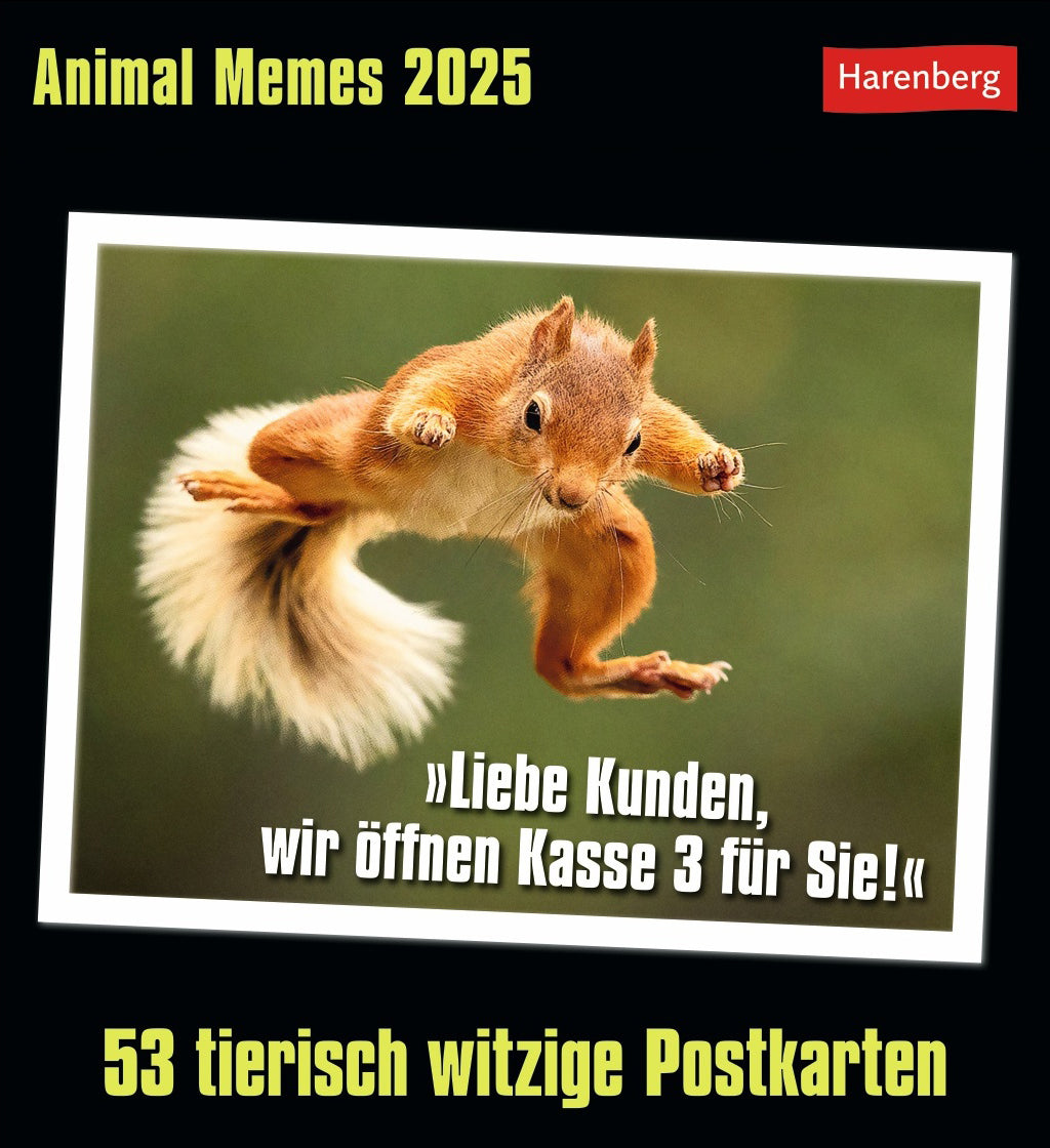 HARENBERG Postkartenkalender 2025 3310183+25 Animal Memes 16x17.5cm