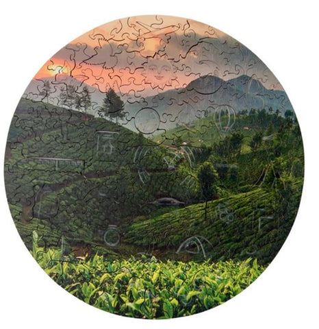 PZ BOIS - LE CHAMP DE THE - 201PCS - M