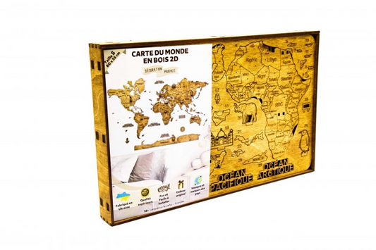 CARTE DU MONDE 2D FONCEE S 55X80CM (FR)