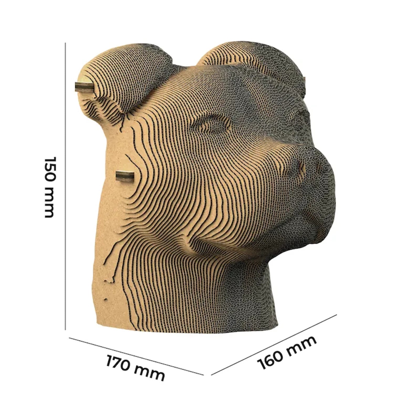 3D SCULPTURE PZ CARTON STAFFY130PCS (FR-EN)