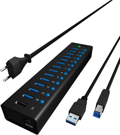 ICY BOX 13-Port USB 3.0 Hub IB-AC6113