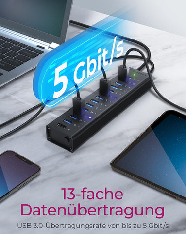 ICY BOX 13-Port USB 3.0 Hub IB-AC6113