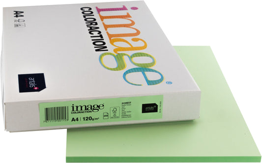 IMAGE COLORACTION Kopierpapier Forest A4 266689 120g, grün 250 Blatt