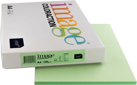 IMAGE COLORACTION Kopierpapier Forest A4 266689 120g, grün 250 Blatt