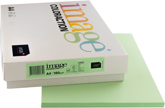 IMAGE COLORACTION Kopierpapier Forest A4 266761 160g, grün 250 Blatt