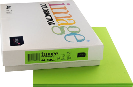 IMAGE COLORACTION Kopierpapier Java A4 266767 maigrün, 160g 250 Blatt