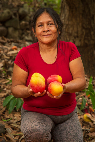 BioInka - Lucumo -  🌿 The Superfruit You've Never Heard of