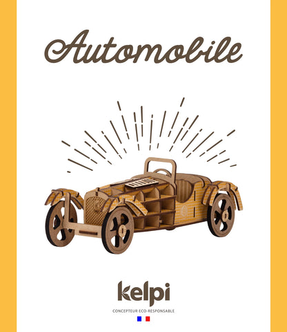 AUTO GELB (FR-EN-ES-IT-DK-NL)