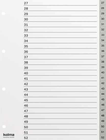 KOLMA Register KolmaFlex A4 18.252.03 grau 1-52