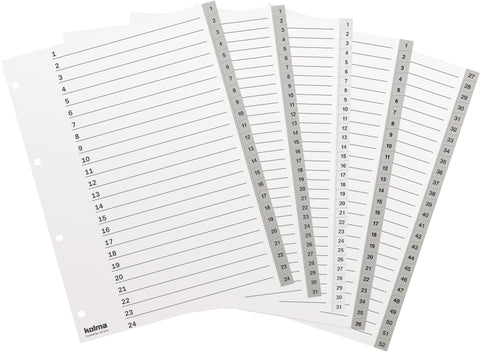 KOLMA Register KolmaFlex A4 18.314.03 grau 1-31