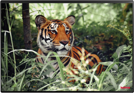 KOLMA Schreibunterlage 50x34cm 35.573.20 Tiger