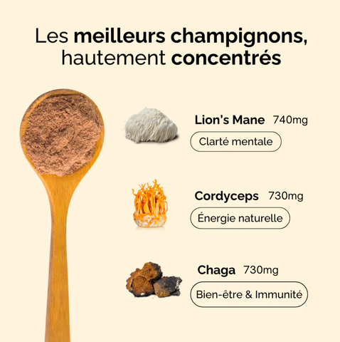 Hallo – Café Mushroom Elixier | Leicht Koffeiniert • 2200mg Pilzextrakte • Vegan • 🇩🇪 Hergestellt in Frankreich