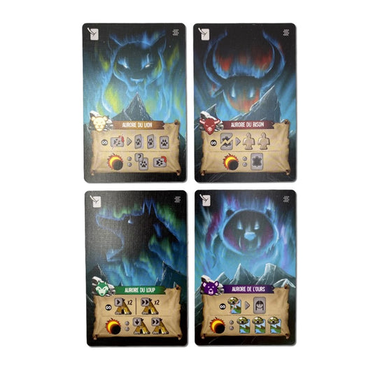 ENDLESS WINTER : AURORE BOREALE (FR)