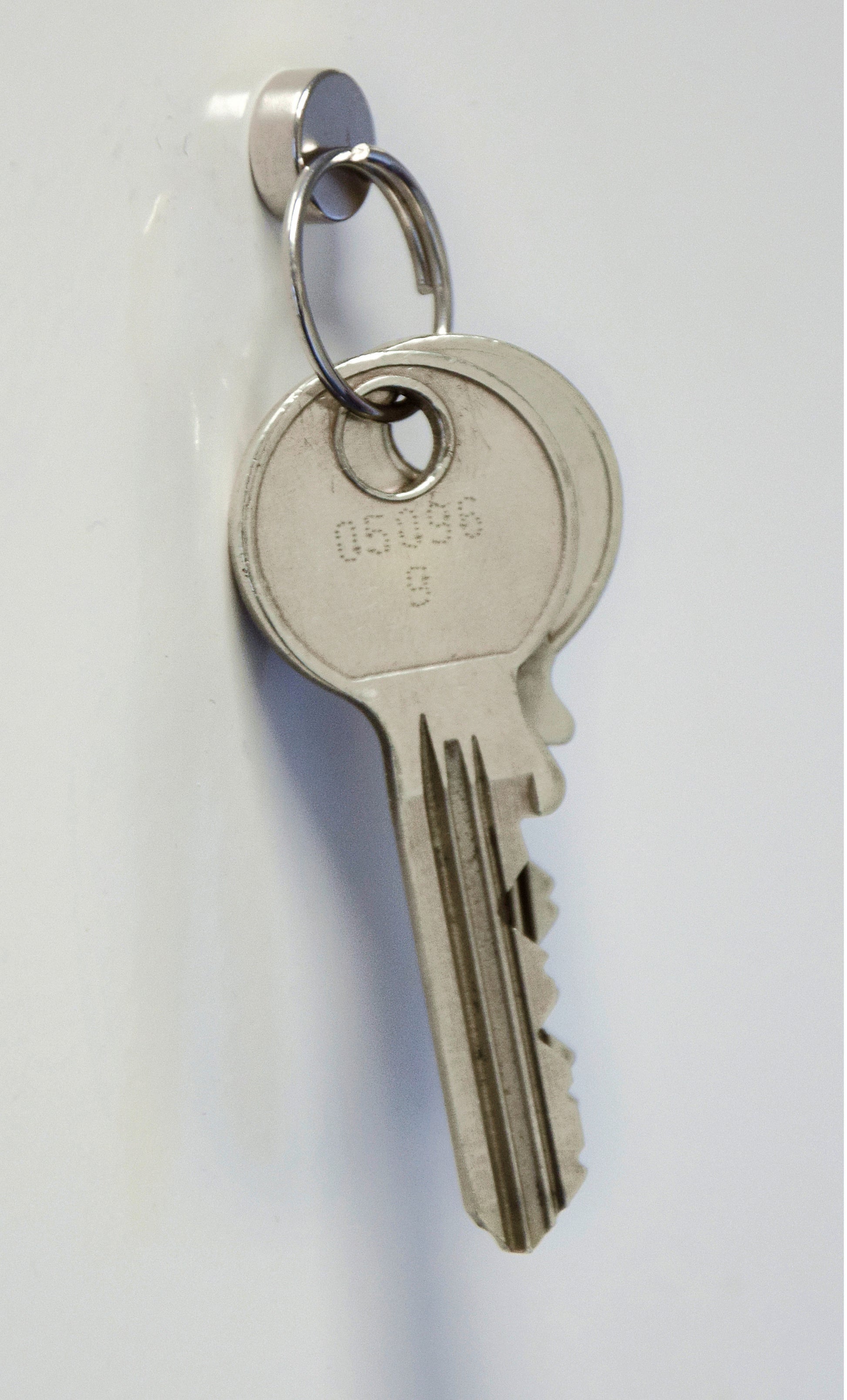 MAUL Neodym-Magnet 10x3mm 6166396 2kg Haftkraft, 10 St./Set