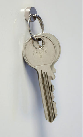 MAUL Neodym-Magnet 10x3mm 6166396 2kg Haftkraft, 10 St./Set