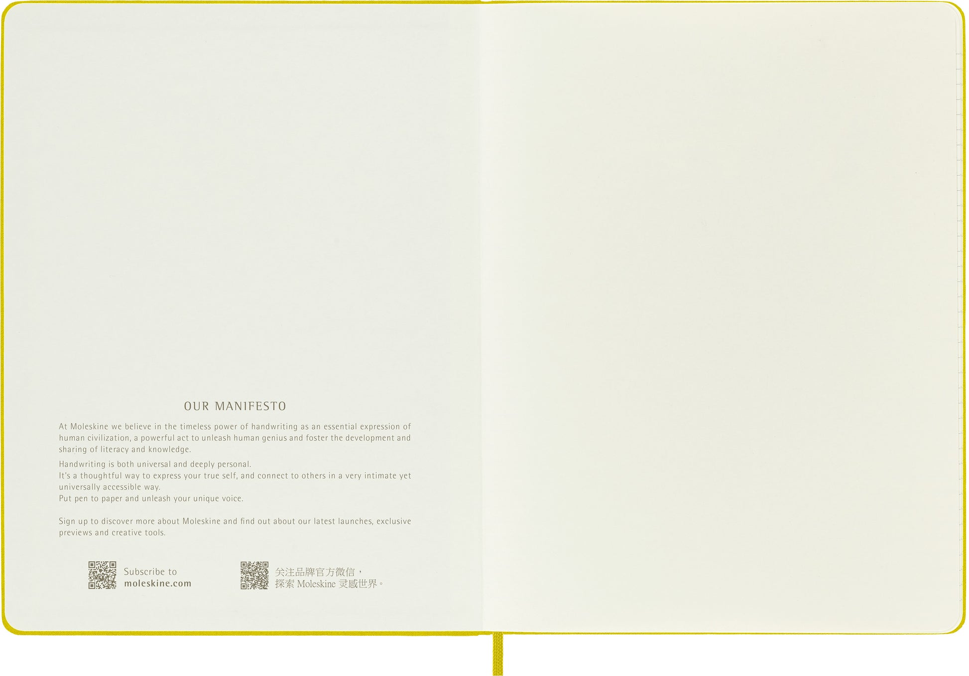 MOLESKINE Notizbuch Color 25x19cm 56598853056 gelb, liniert, 192 Blatt, HC