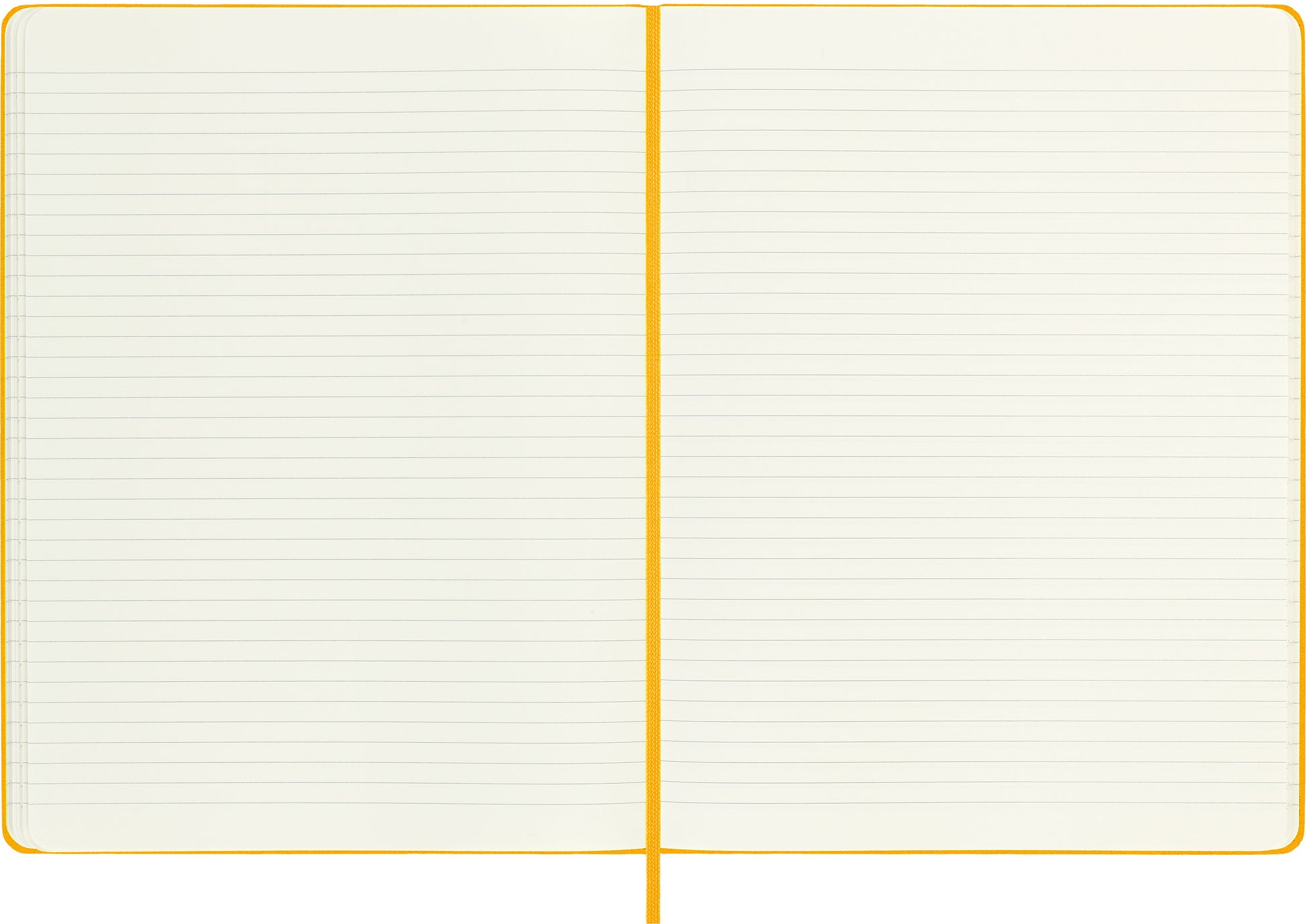 MOLESKINE Notizbuch Color 25x19cm 56598853087 orange, liniert, 240 Blatt