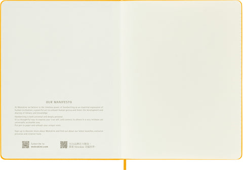 MOLESKINE Notizbuch Color 25x19cm 56598853087 orange, liniert, 240 Blatt