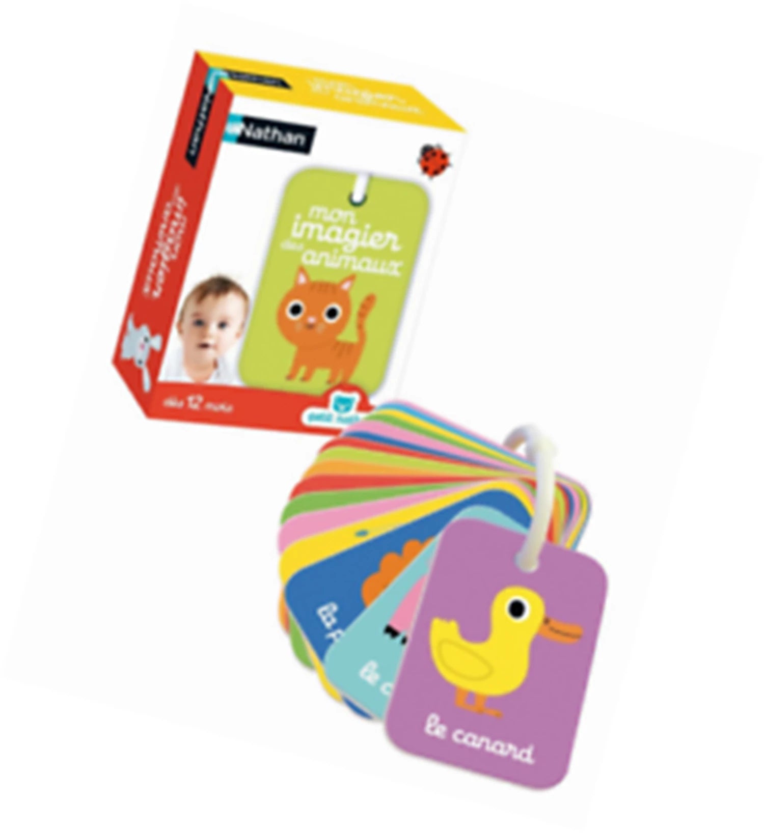 PETIT NATHAN MON IMAGIER DES ANIMAUX