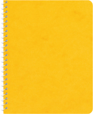 NOVOOO Spiralheft ass. 9.1×12.1cm 729776 kariert, 4mm, 70g 48 Blatt