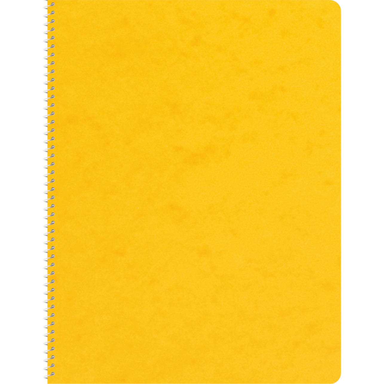 NOVOOO Spiralheft ass. 14.8×21cm 729779 kariert, 4mm, 70g 48 Blatt
