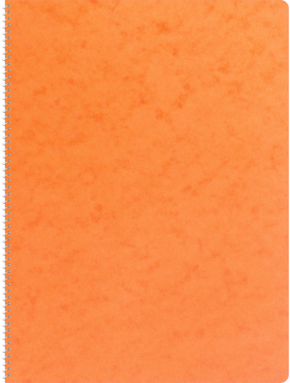 NOVOOO Spiralheft ass. A4 729783 kariert, 4mm, 80g 48 Blatt