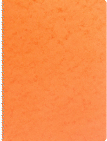 NOVOOO Spiralheft ass. A4 729783 kariert, 4mm, 80g 48 Blatt