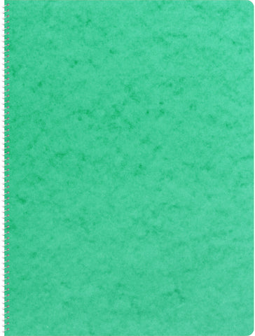 NOVOOO Spiralheft ass. A4 729783 kariert, 4mm, 80g 48 Blatt