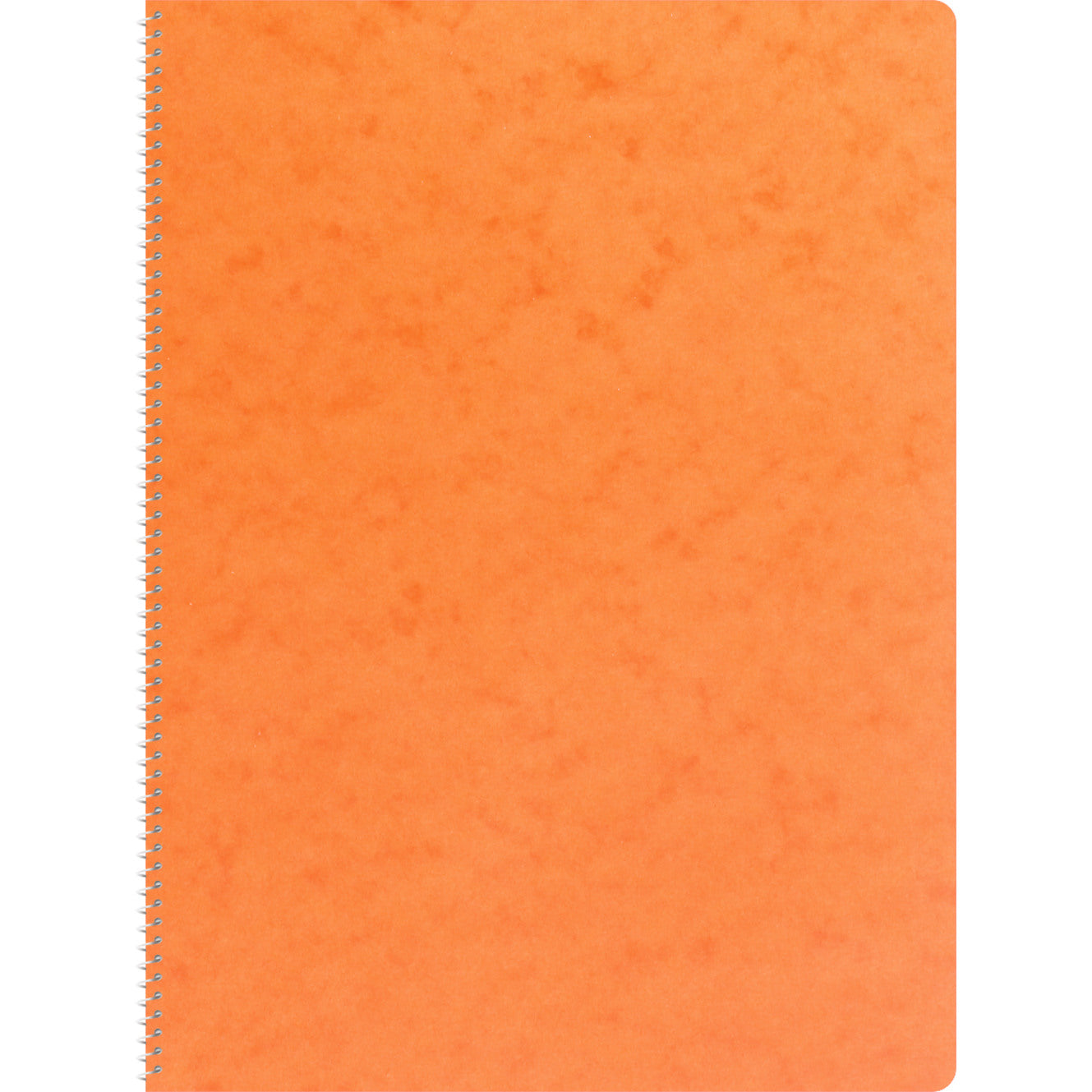NOVOOO Spiralheft ass. A4 729784 kariert, 5mm, 80g 48 Blatt