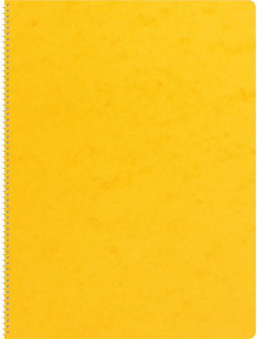 NOVOOO Spiralheft ass. A4 729786 kariert, 4mm, 80g 72 Blatt