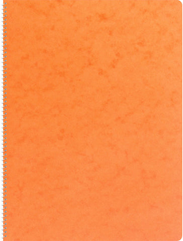 NOVOOO Spiralheft ass. A4 729786 kariert, 4mm, 80g 72 Blatt