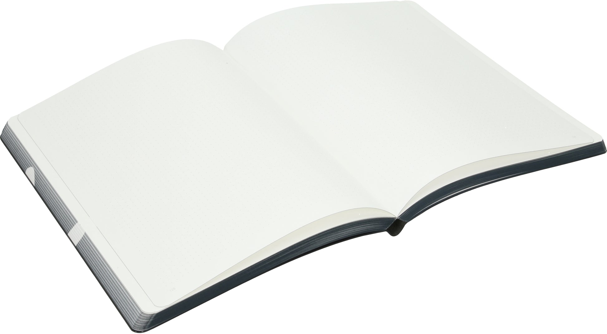 NUUNA Notizbuch Graphic L 56307 HOLY SHIT 256 Seiten