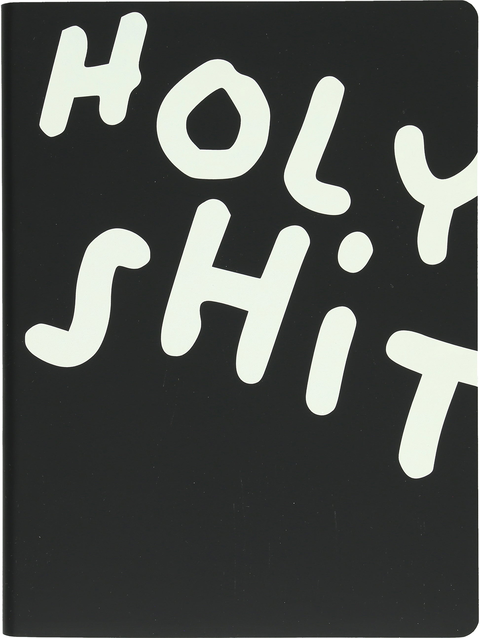 NUUNA Notizbuch Graphic L 56307 HOLY SHIT 256 Seiten