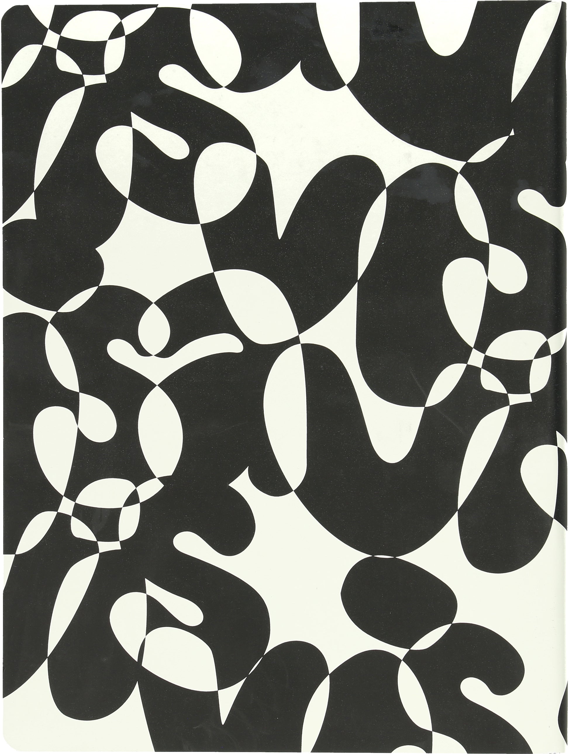 NUUNA Notizbuch Graphic L 56314 VIS-A-VIS 256 Seiten