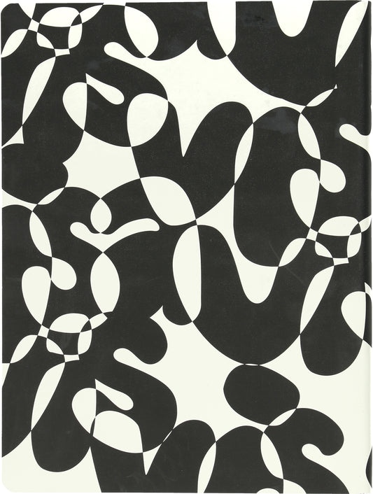 NUUNA Notizbuch Graphic L 56314 VIS-A-VIS 256 Seiten