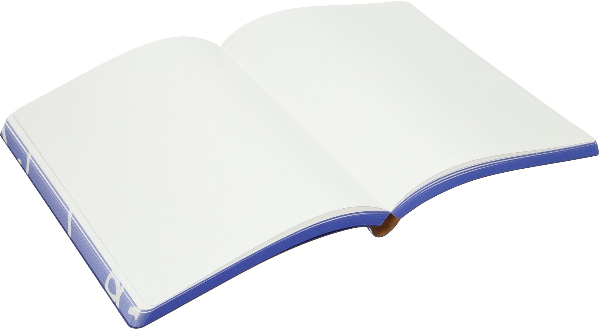 NUUNA Notizbuch Graphic L 56376 SILVER LINING 256 Seiten