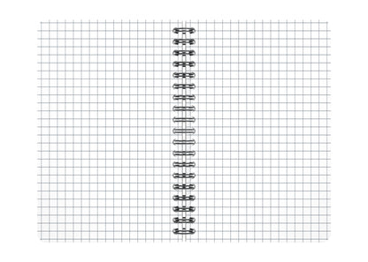 OXFORD Office-Spiralbuch A6 100100899 kariert, 5mm, ass.