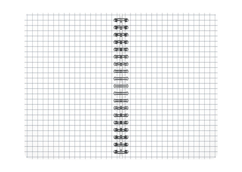 OXFORD Office-Spiralbuch A6 100100899 kariert, 5mm, ass.