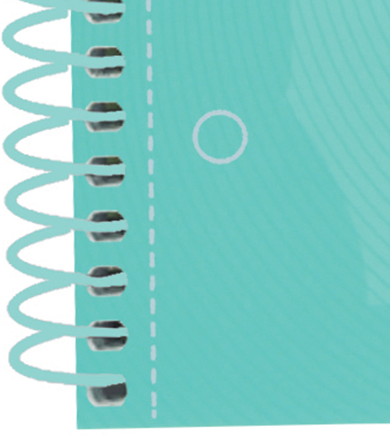OXFORD Spiralbuch A4+ 400117274 kariert 5mm past.mint 80 Blatt